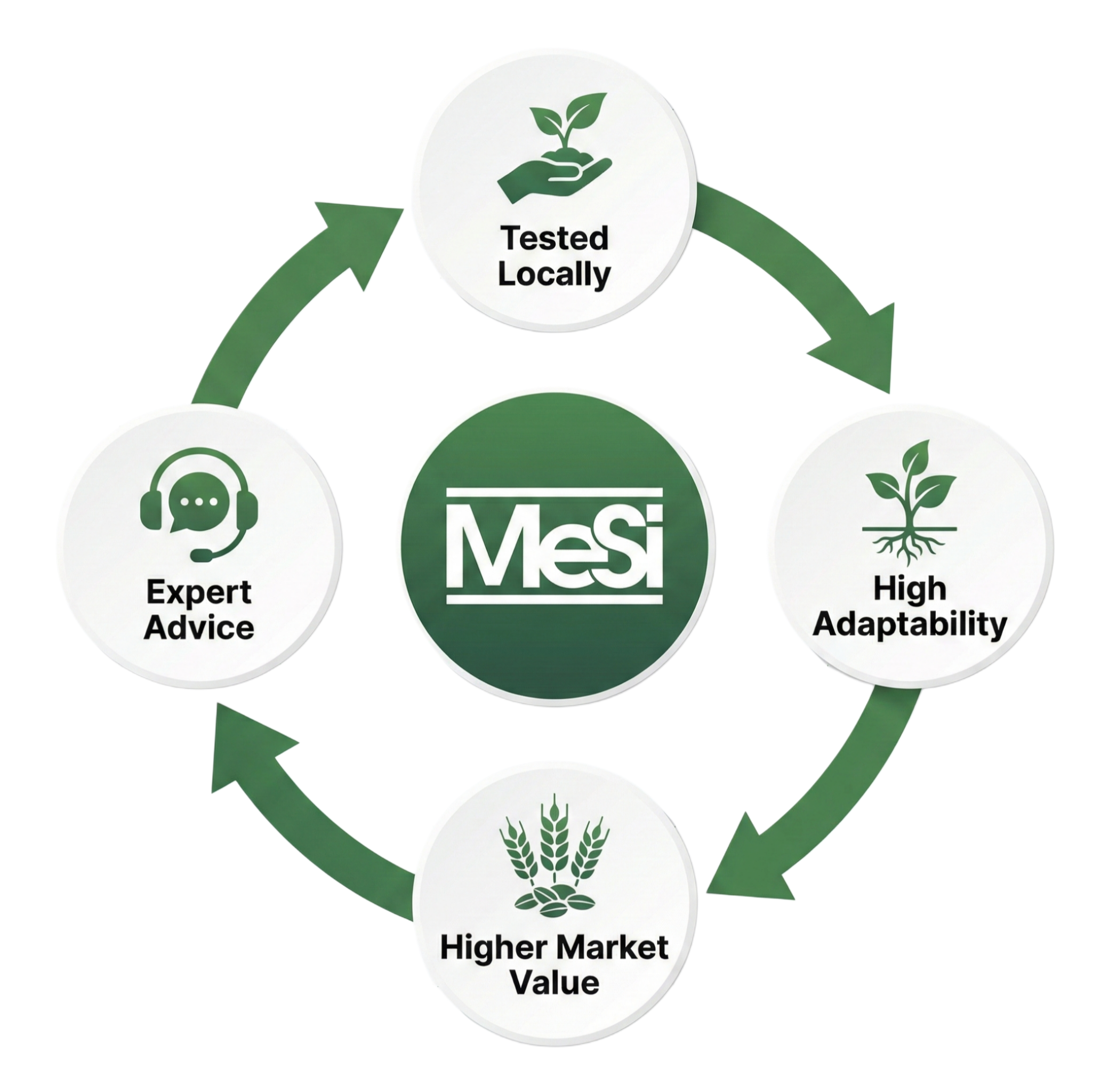 Why Choose MeSi - Tested Locally, High Adaptability, Higher Market Value, Expert Advice